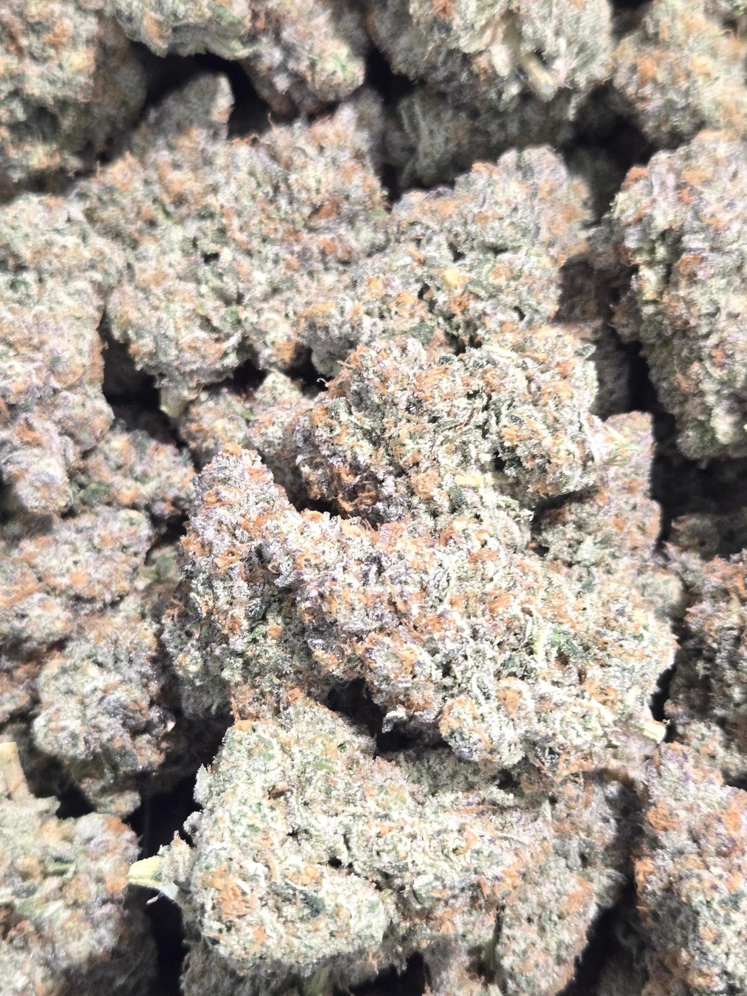 Bud Image 3
